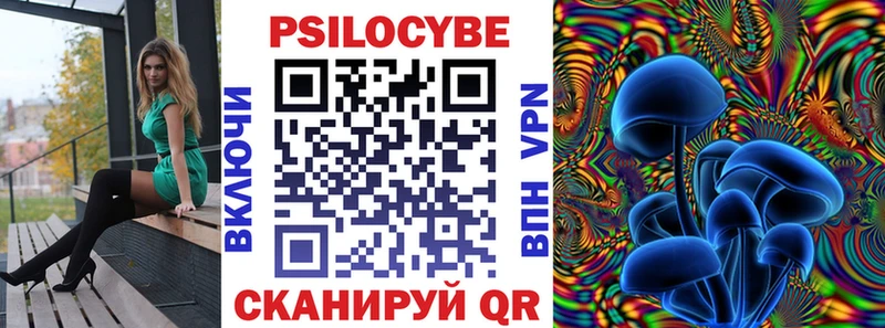 Псилоцибиновые грибы Psilocybine cubensis  как найти наркотики  Ленинградская 